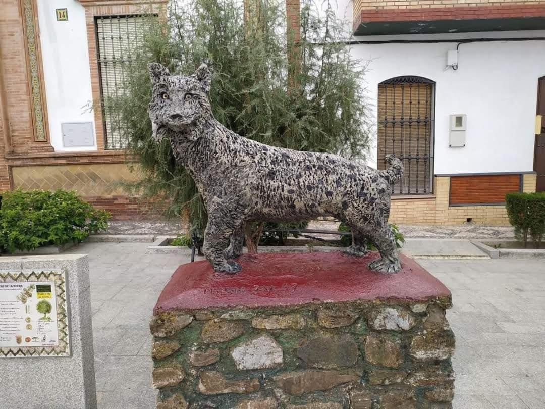 Alojamiento Rural An Ca La Abuela Pilar El Real de la Jara Eksteriør billede